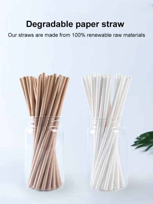 100-Pack Biodegradable Paper Straws Eco Friendly Straws for Juice Soda Cocktail - Image 2