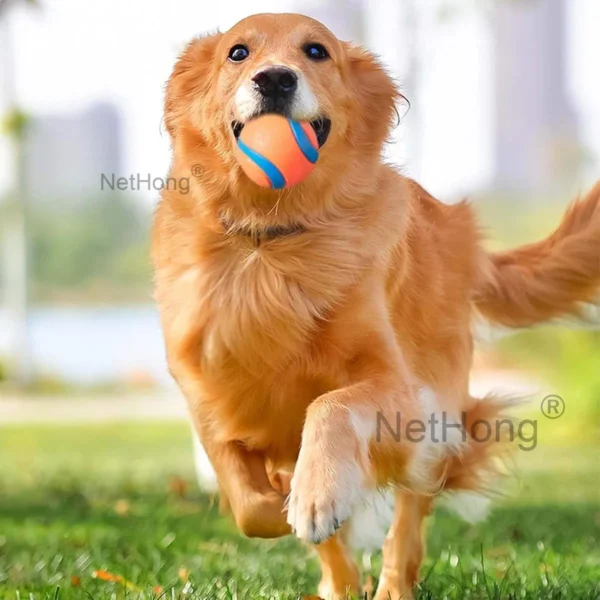 6Pcs Squeaky Balls Toys Dogs Interactive Toys TPR Dog Chew Toy for Dog Pet Teeth - Image 4