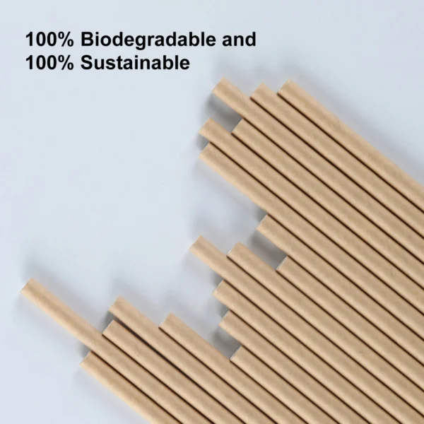 100-Pack Biodegradable Paper Straws Eco Friendly Straws for Juice Soda Cocktail - Image 3